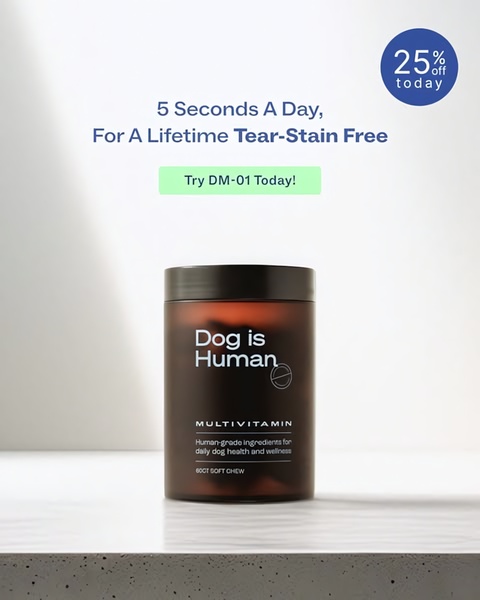 A minimalist, product-centric ad for a dog multivitamin that uses a direct time-based hook and a clear discount offer.